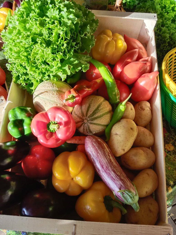 EARL de Saumathé, Le Mas-d'Agenais - photo 4