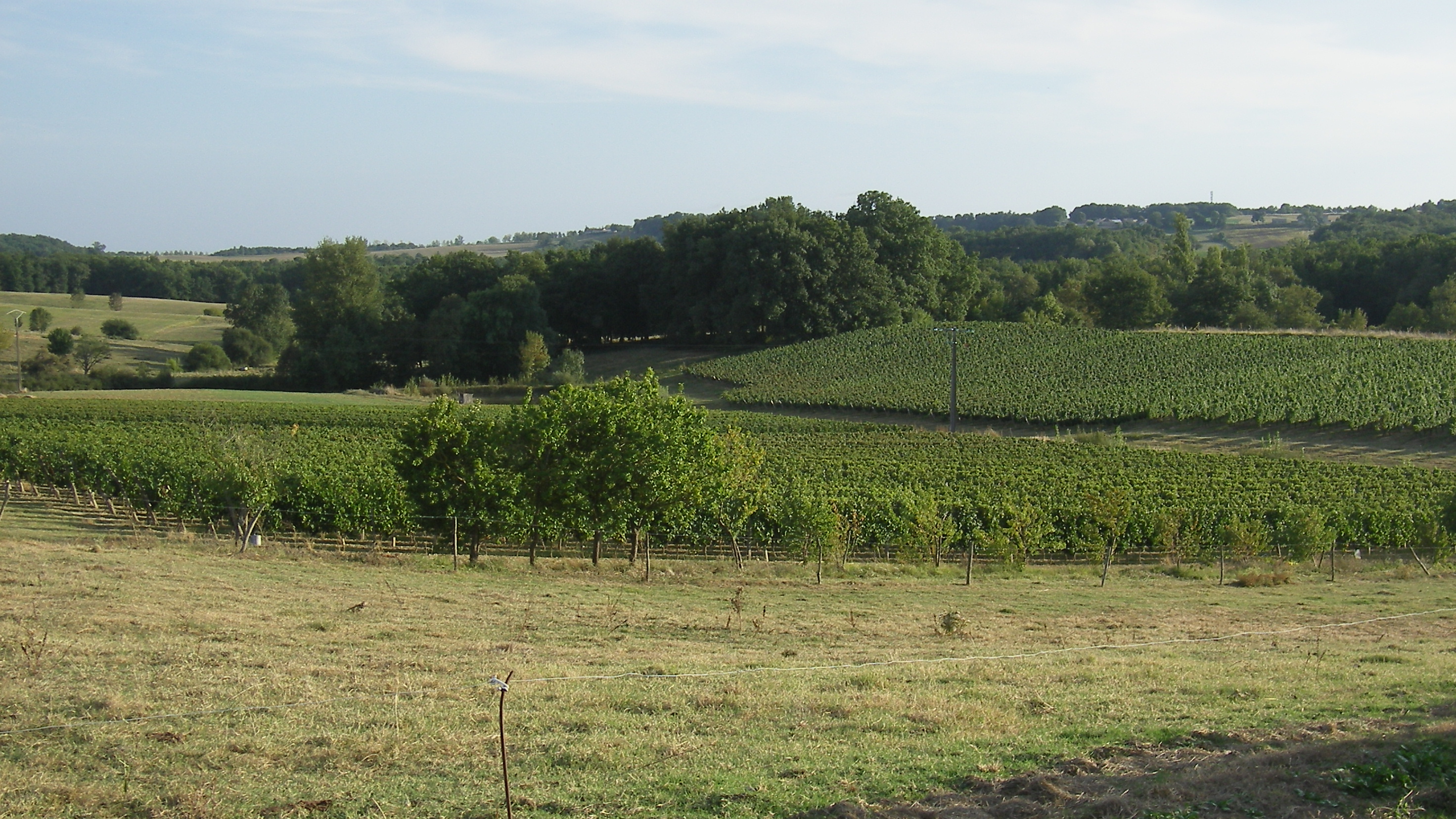 Château Bois Clair - Frédéric SERNAGLIA - photo 2