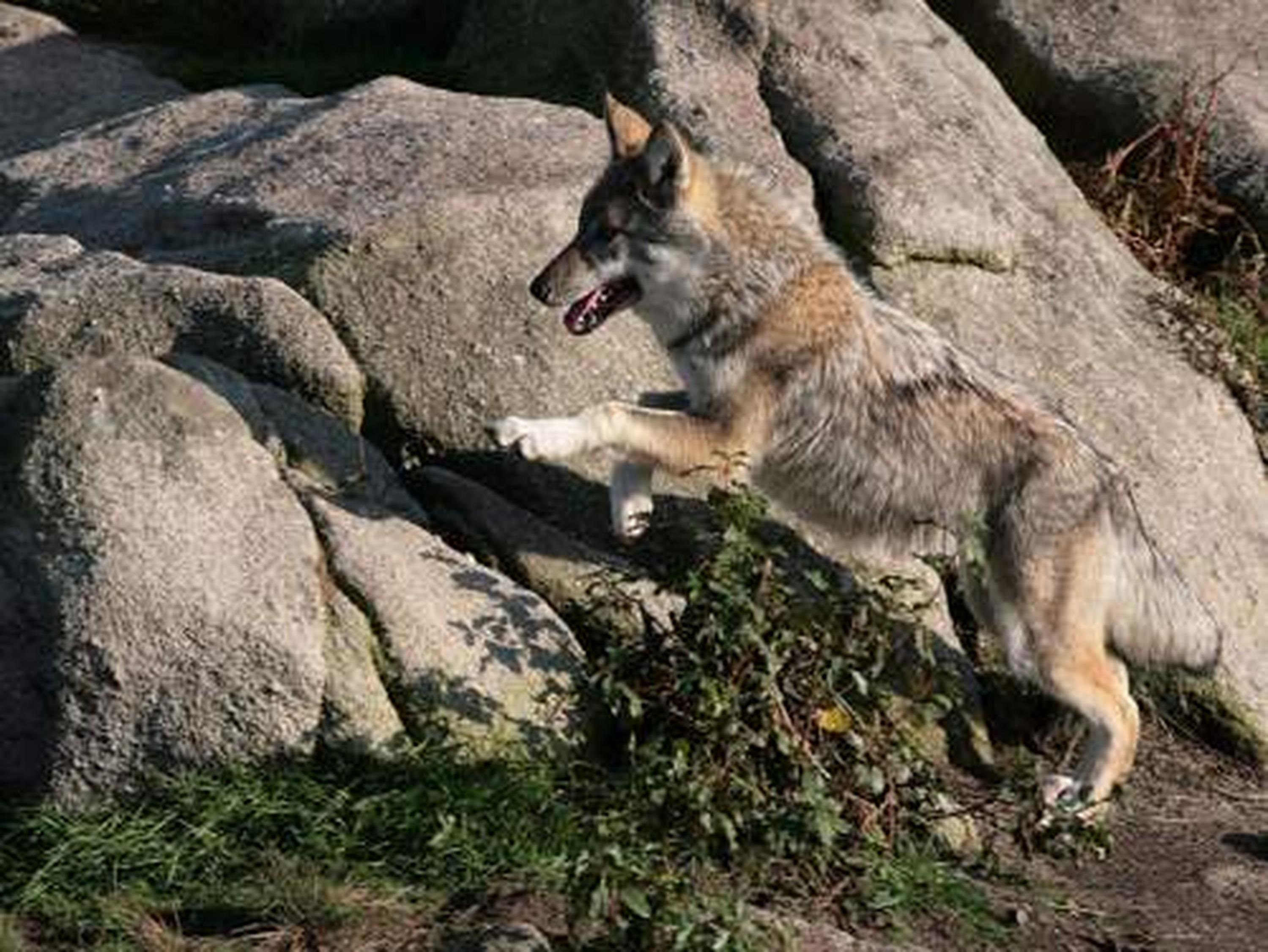 GR®Pays Les Monts de Guéret : la boucle du Loup en écomobilité — photo 2