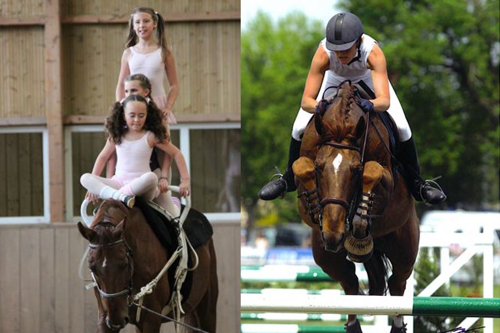 Ecuries de Novert, Malemort - photo 2