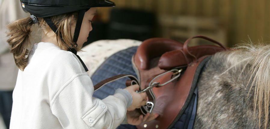 Ecuries de Novert, Malemort