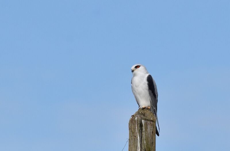 Nature Landes Pays Basque