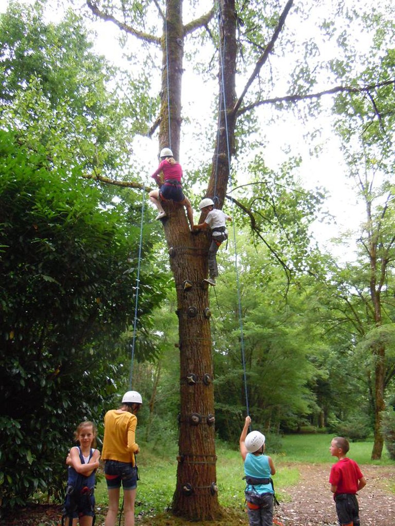 Escalad'arbre Escapade Nature Pays d'Argentat - photo 3