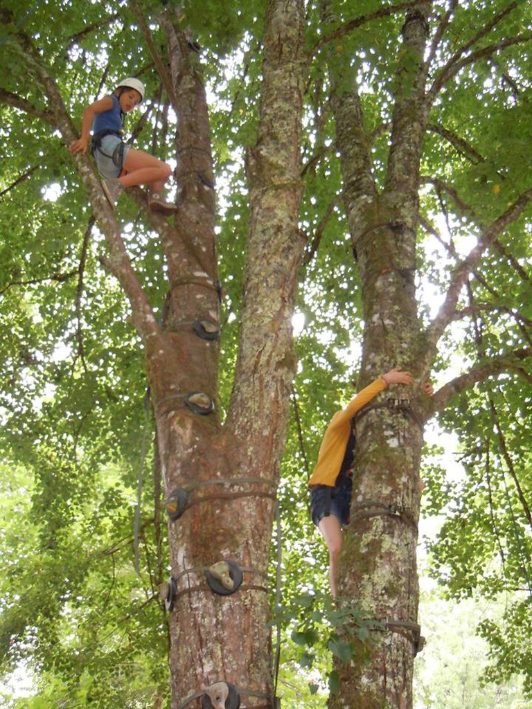 Escalad'arbre Escapade Nature Pays d'Argentat - photo 2