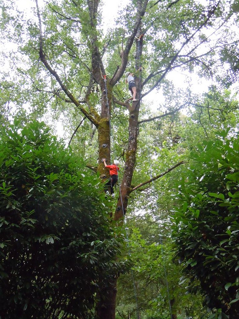 Escalad'arbre Escapade Nature Pays d'Argentat - photo 5