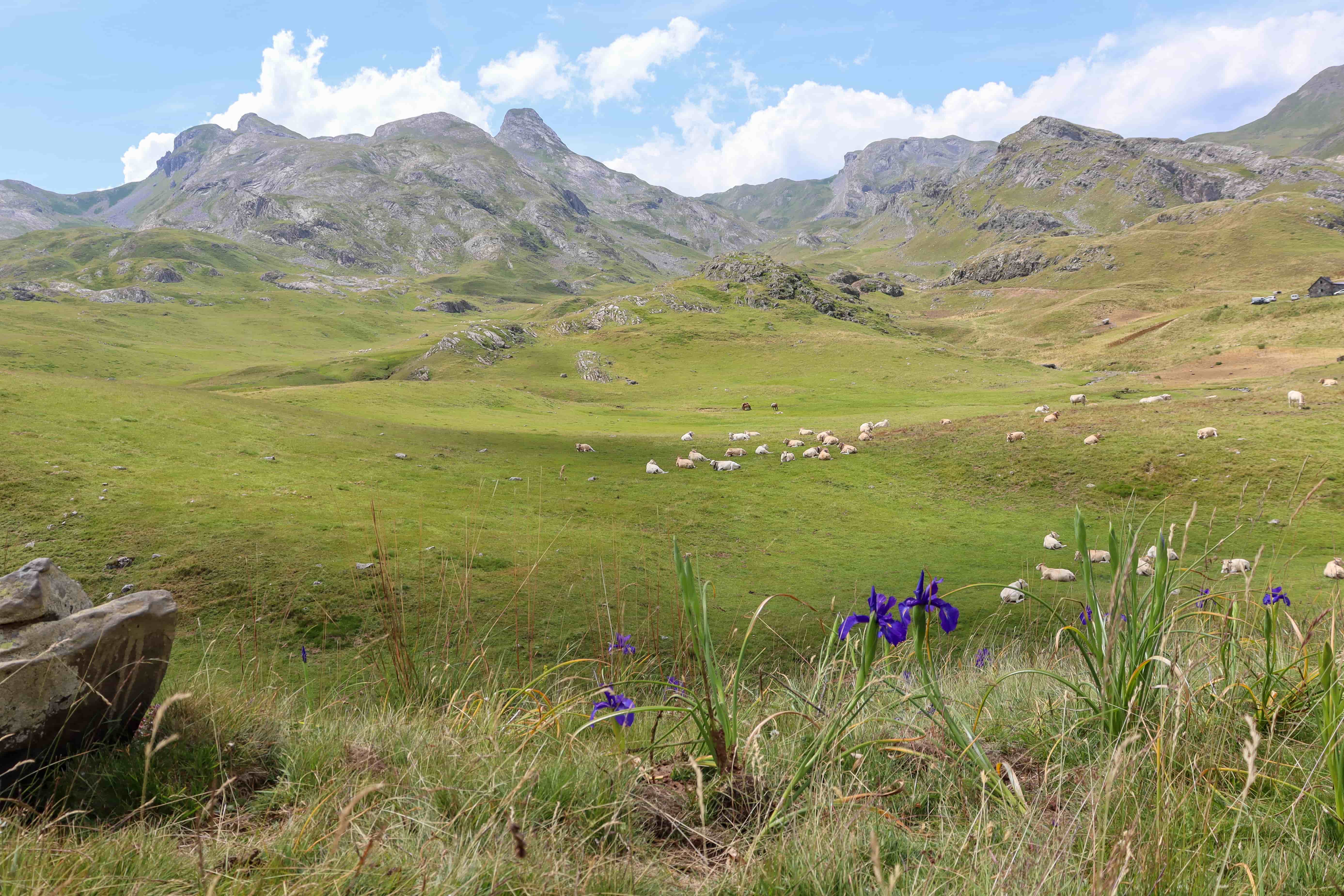 Cirque d'Anéou, Laruns - photo 11