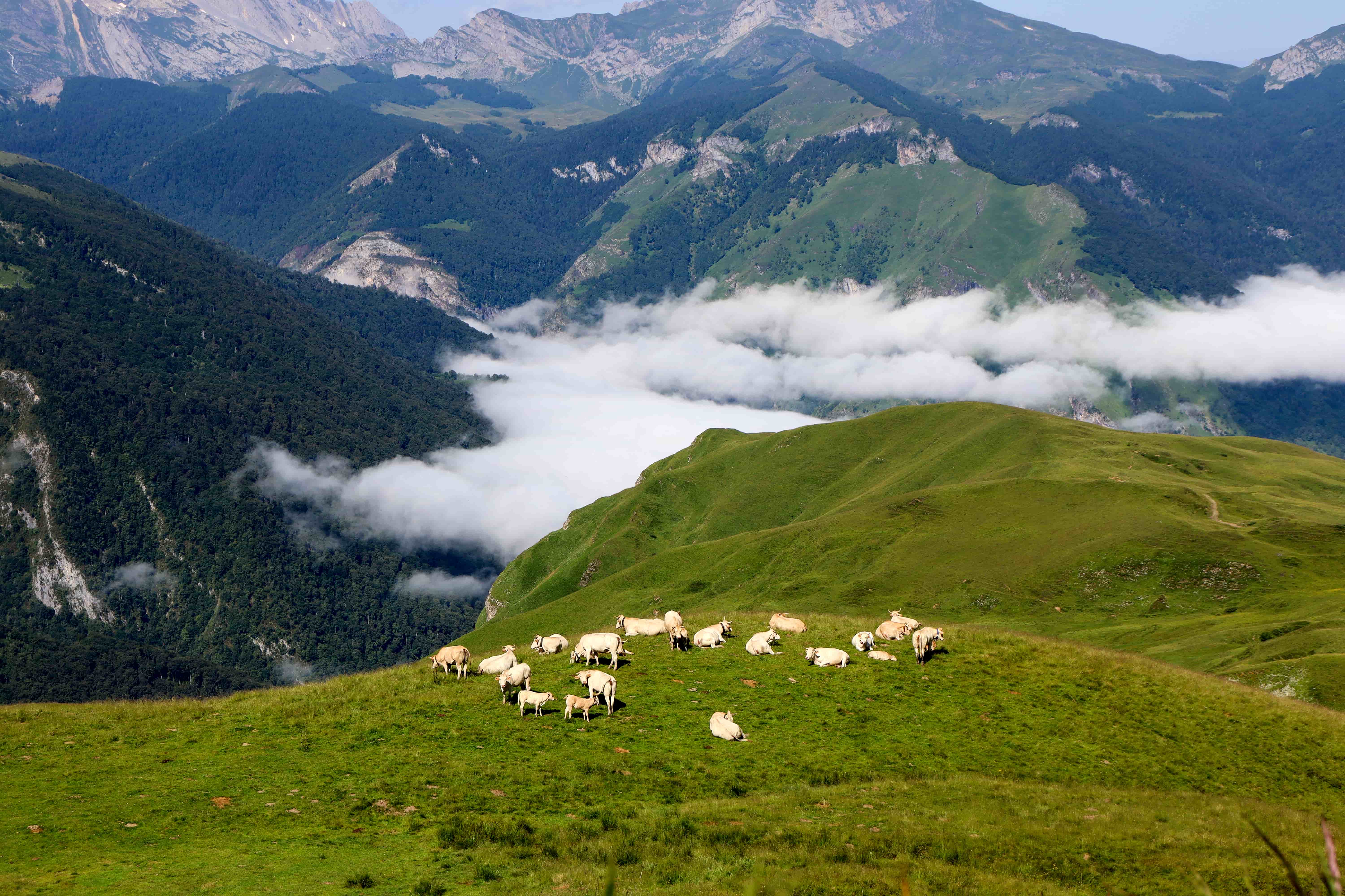 Site naturel du Col d'Aubisque, Béost - photo 5