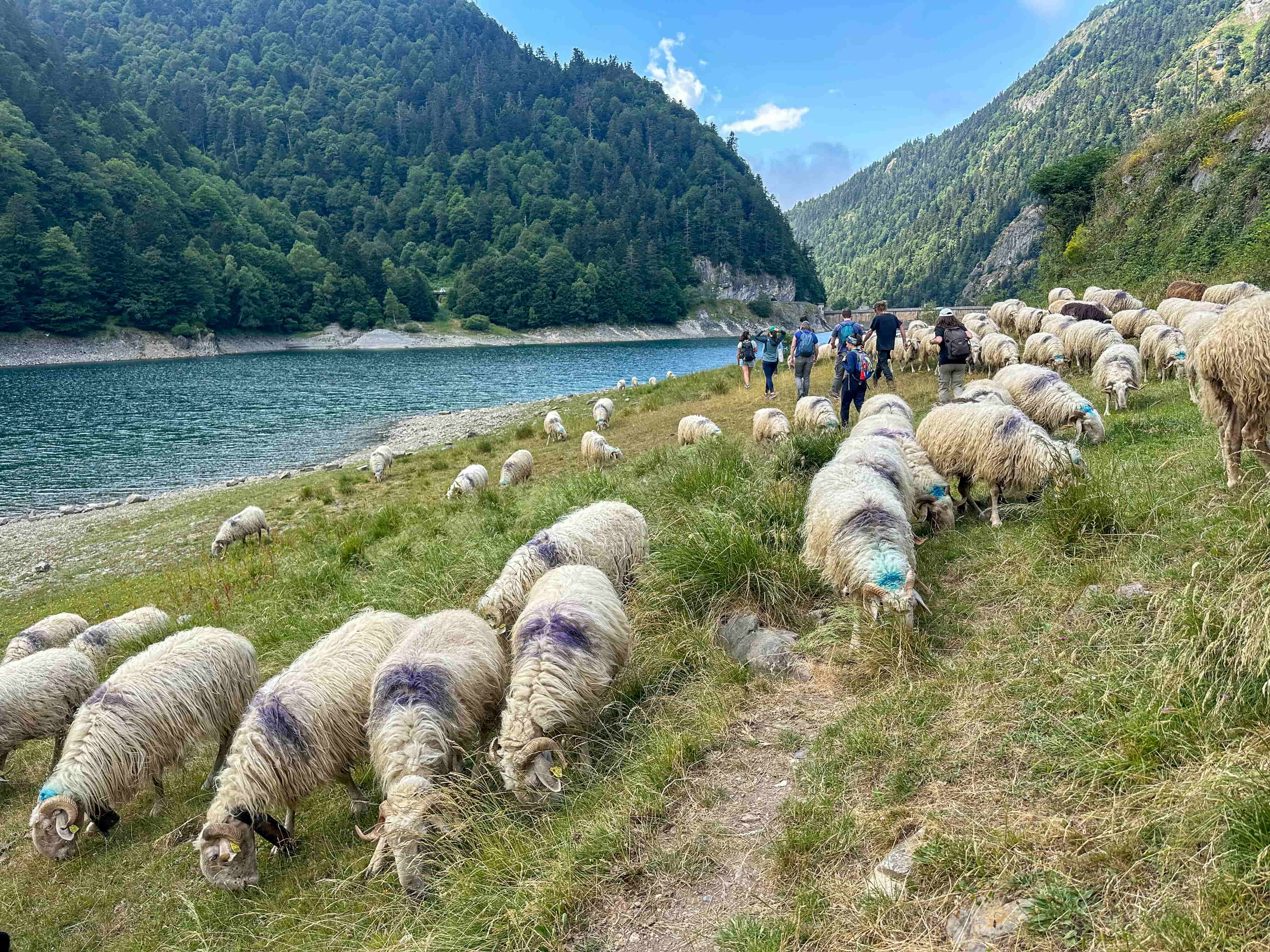 Lac de Fabrèges, Laruns - photo 6