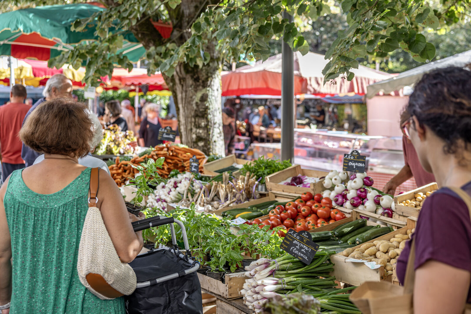 Marché du vendredi à Ribérac, Ribérac - photo 3