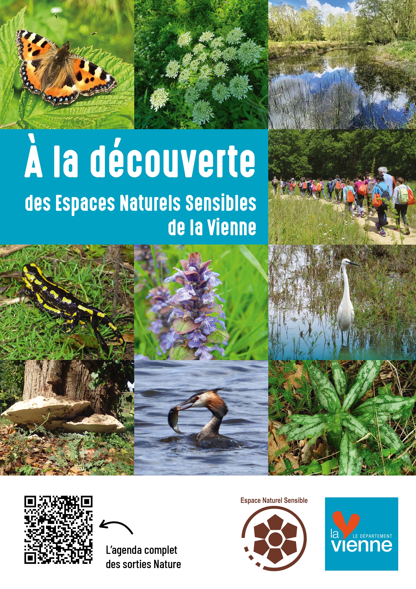 La biodiversité en automne — visuel événement