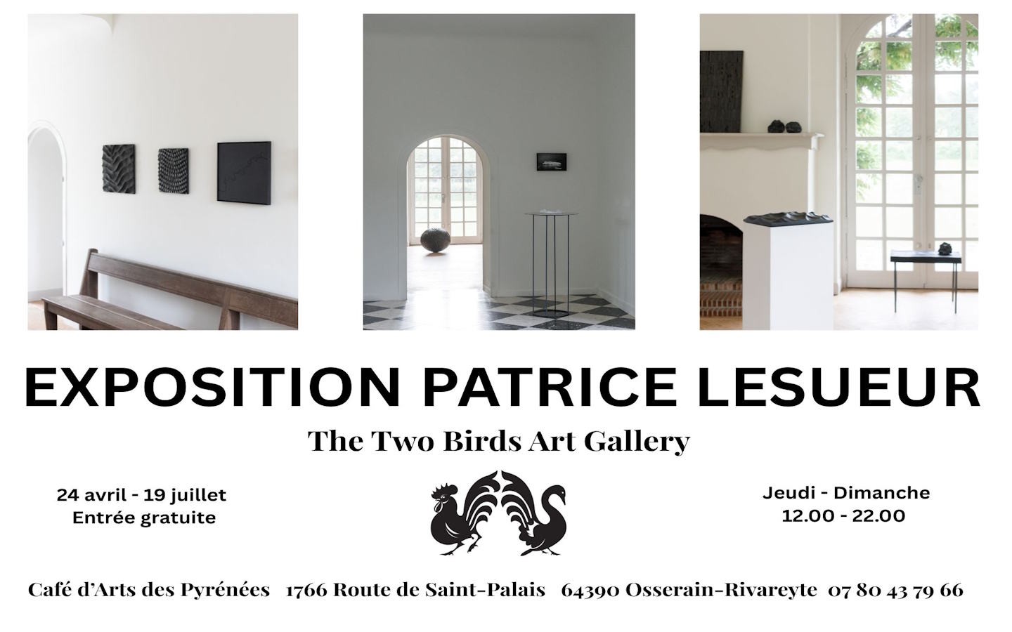 Exposition de Patrice Lesueur — visuel événement