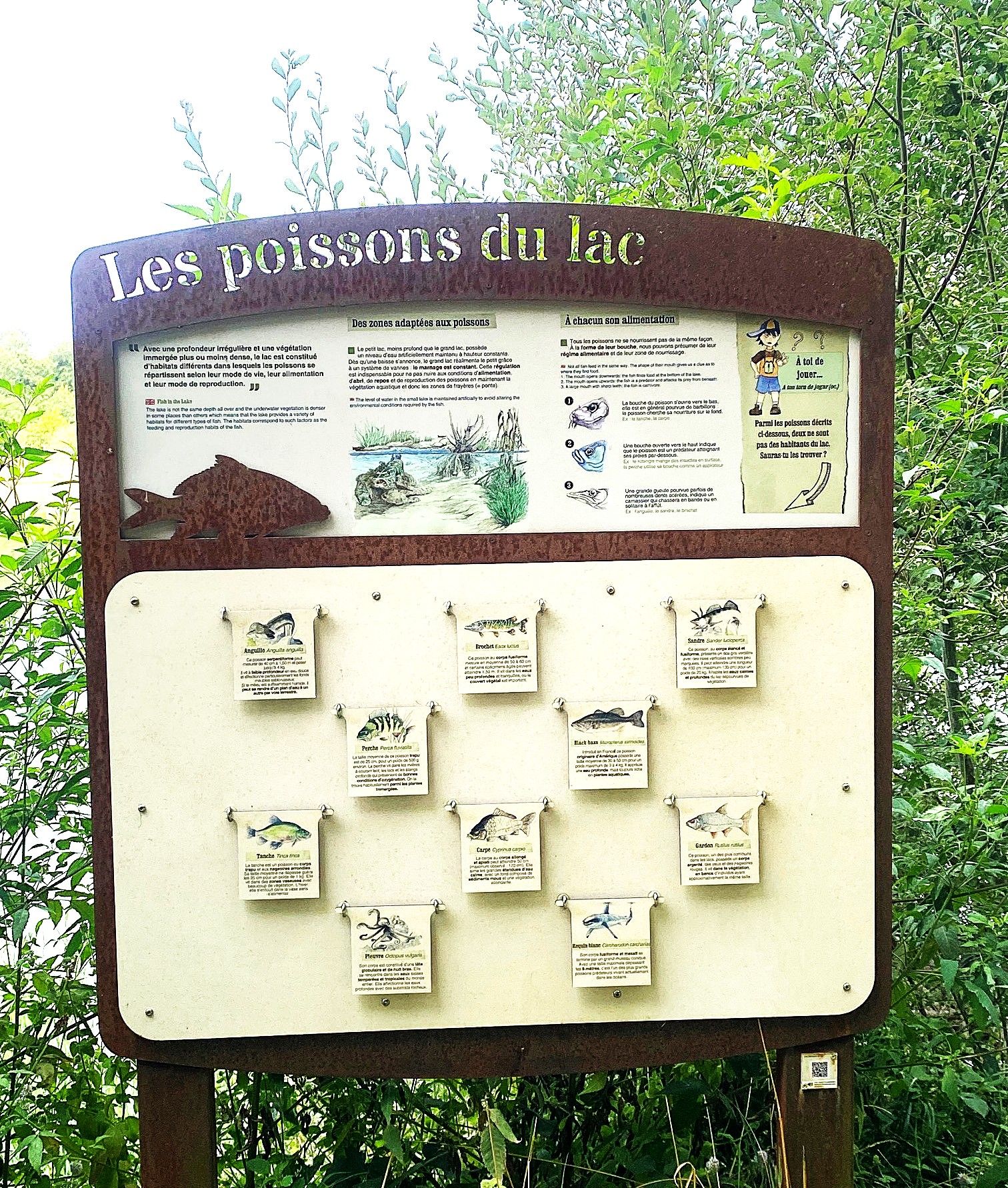 Boucle de l'Escourou - Eymet, Eymet - photo 5