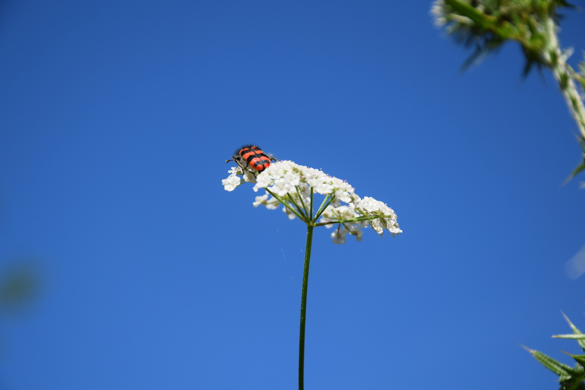 Boucle des Lavoirs, Eyzerac - photo 3