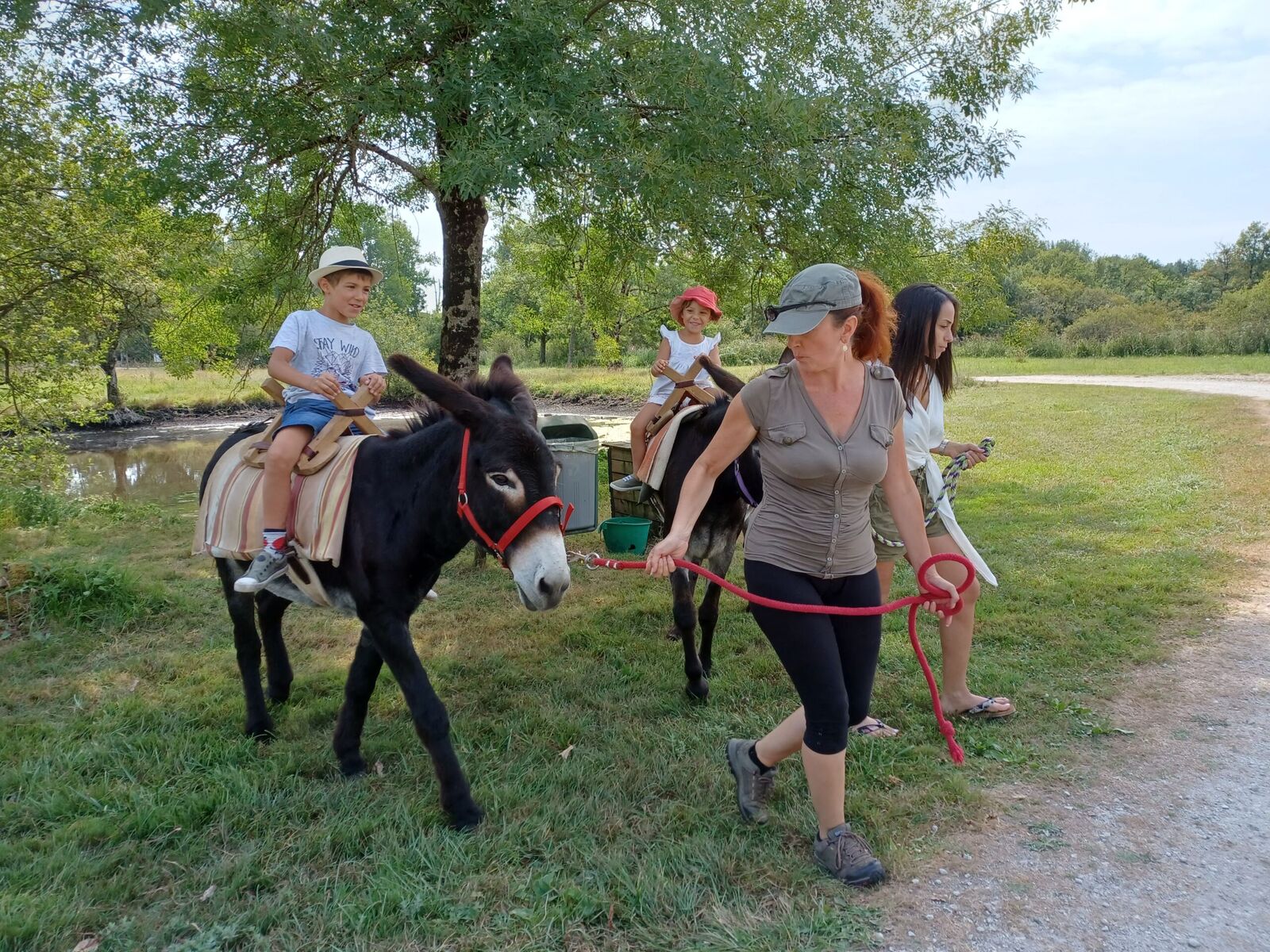 Les Échapées Vertes - photo 4