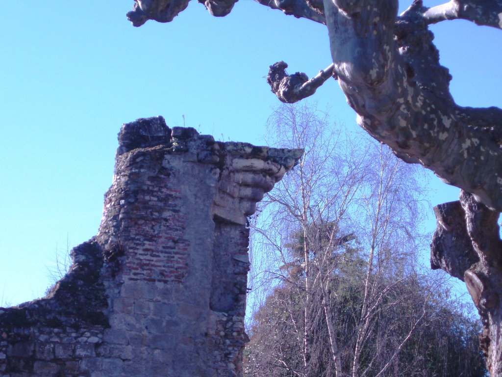 Fortifications médiévales, Saint-Sever - photo 3