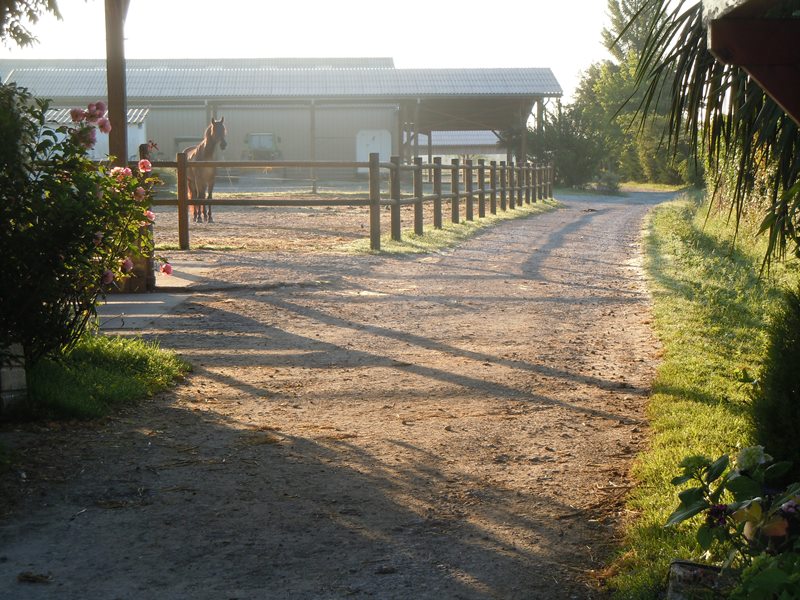 Ecole d'équitation du Menusé St Jean de Marsacq - photo 3