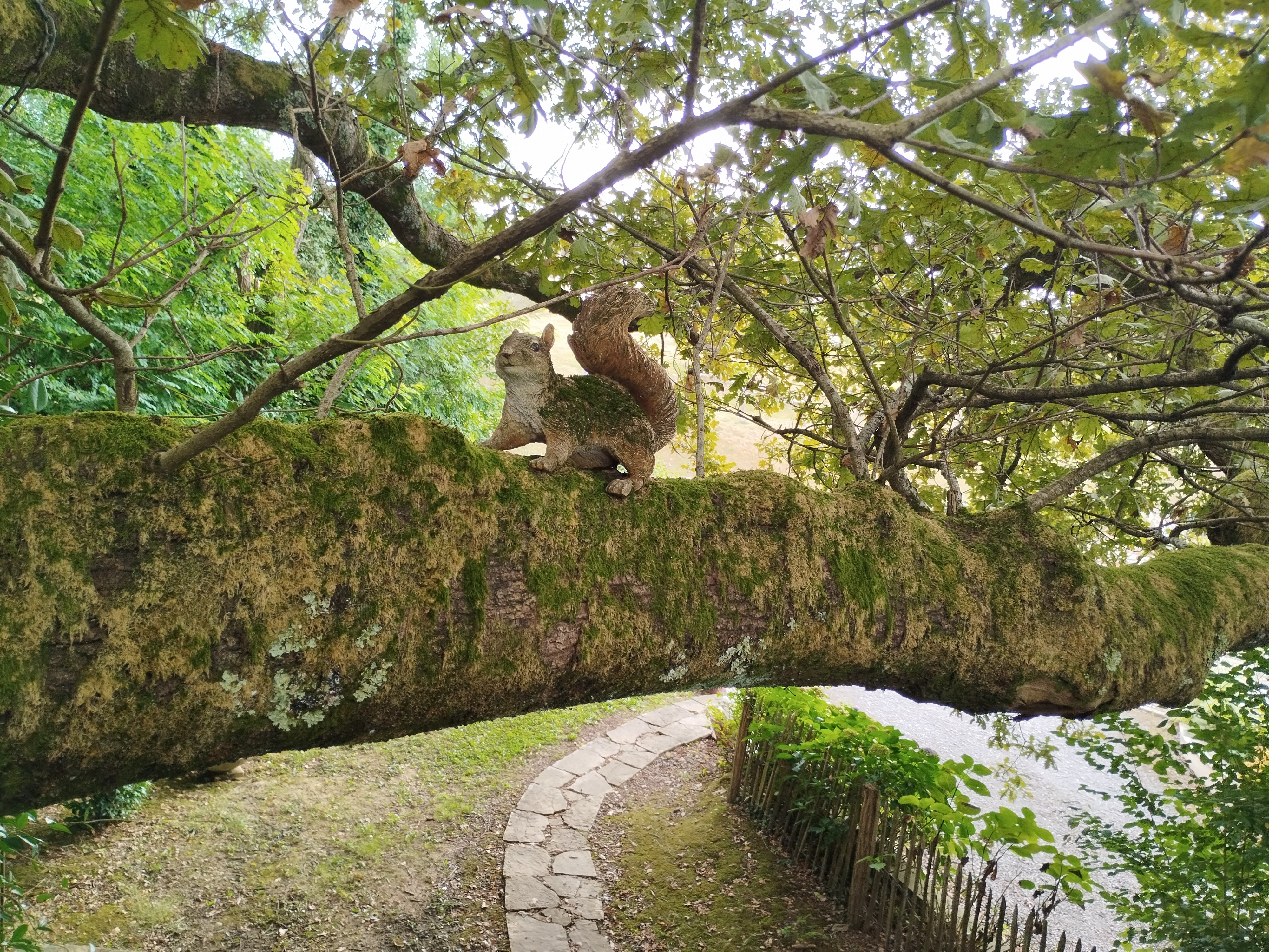 Cabane dans les arbres : la Papyjotte, Montfort-en-Chalosse - photo 27