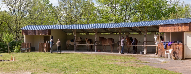 Hôtel Domaine des Garennes, Nadaillac - photo 8