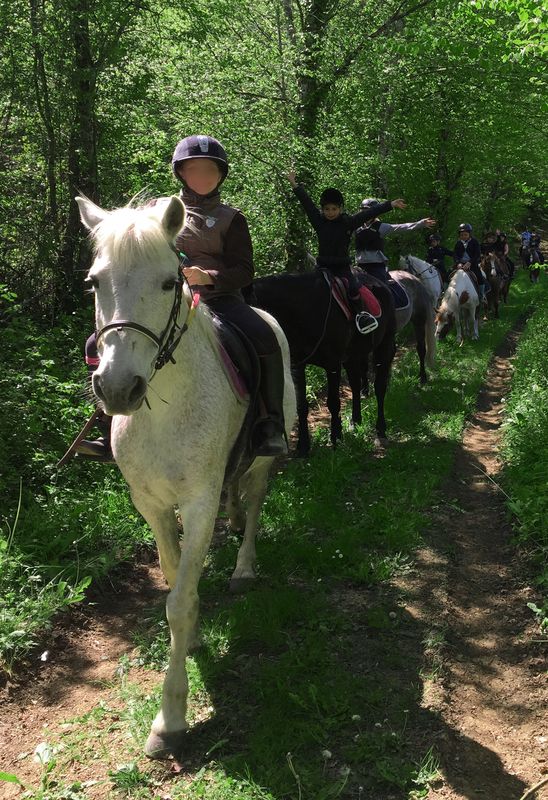 Ecurie de Saint-Germain