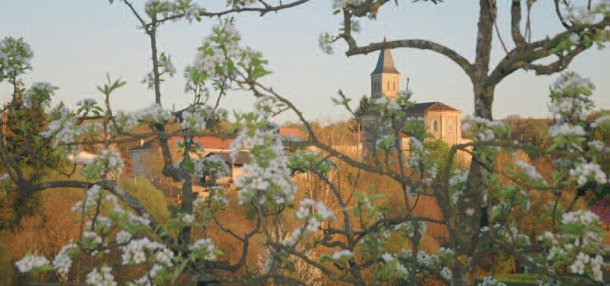 La Grande Boucle du Parc: Etape 9 : de Dournazac à St Pierre de Frugie