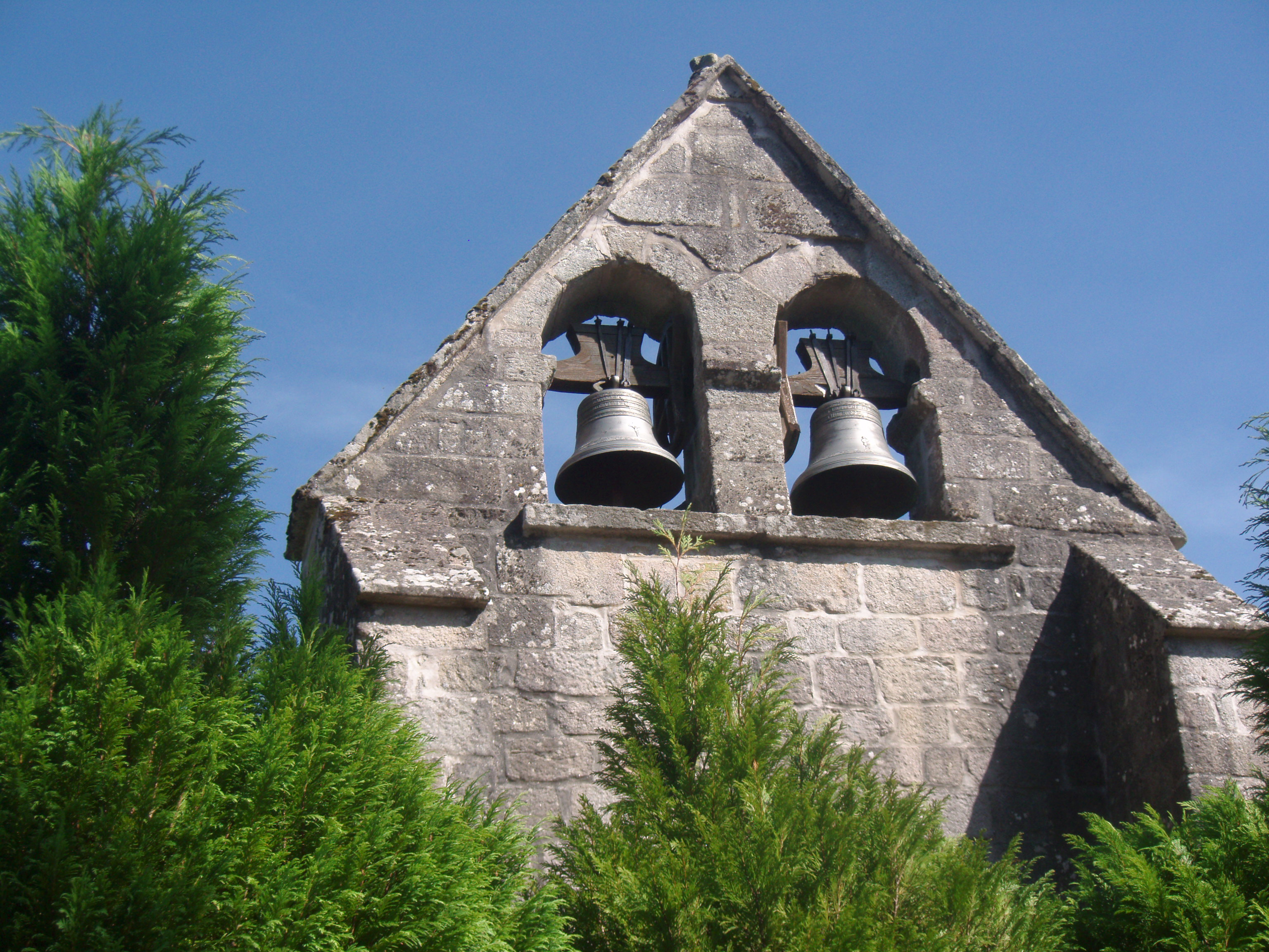 Le bois de Tempêtier, Bugeat - photo 2