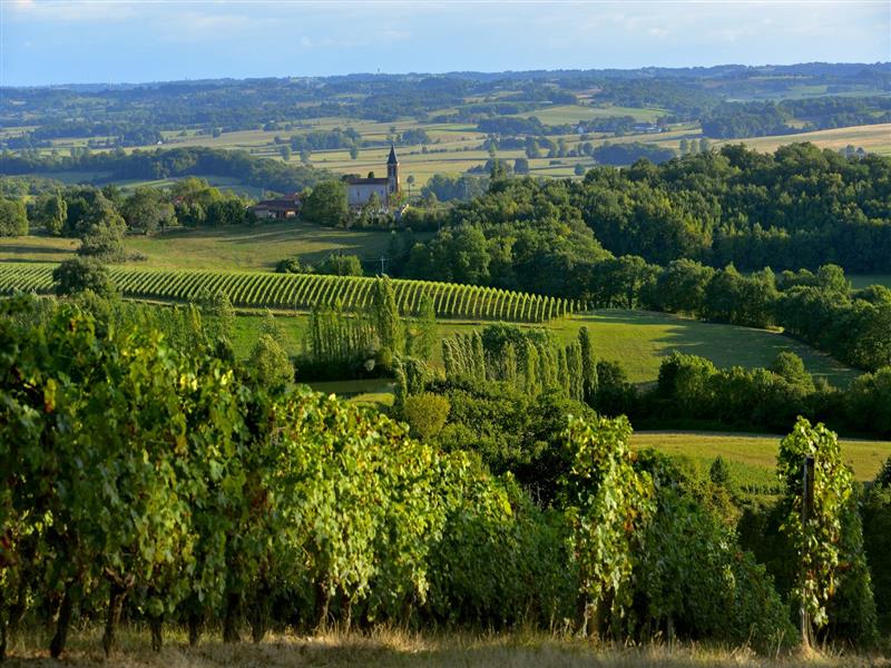 Sur la route du Madiran