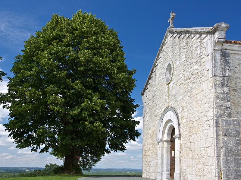 Eglise Saint-Mandé-et-Notre-Dame