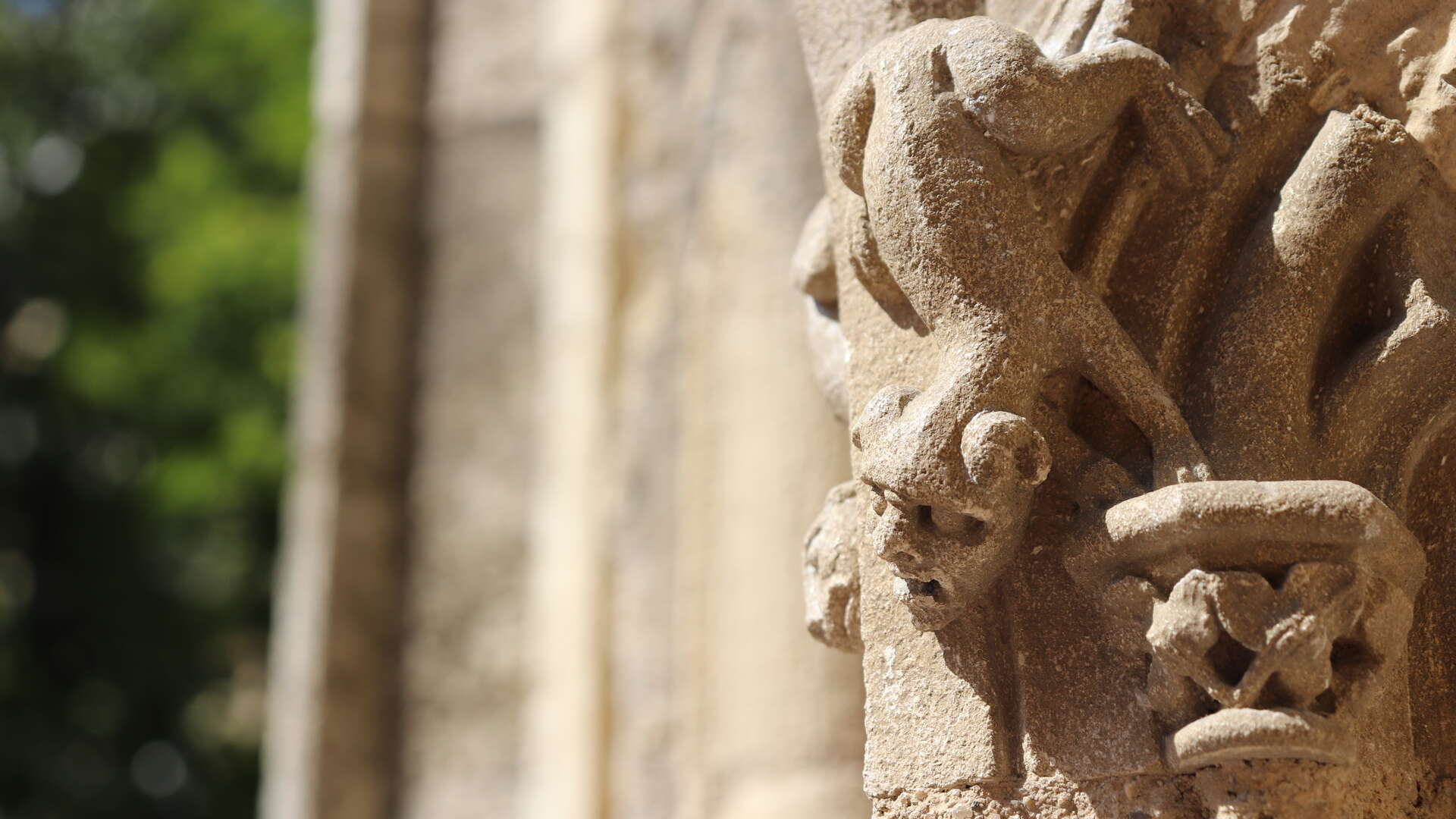 Eglise Saint Pierre, Bordeaux - photo 3