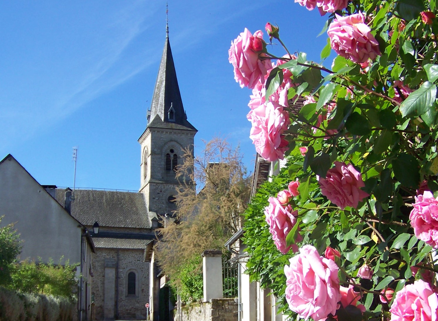 Entre étangs et châteaux, Salon-la-Tour - photo 5