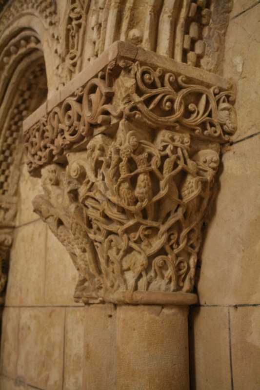Eglise Sainte-Quitterie, Aire-sur-l'Adour - photo 4