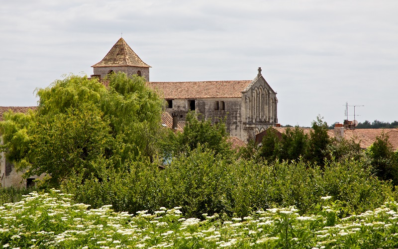 Eglise Saint-Maurice, Mareuil en Périgord - photo 3