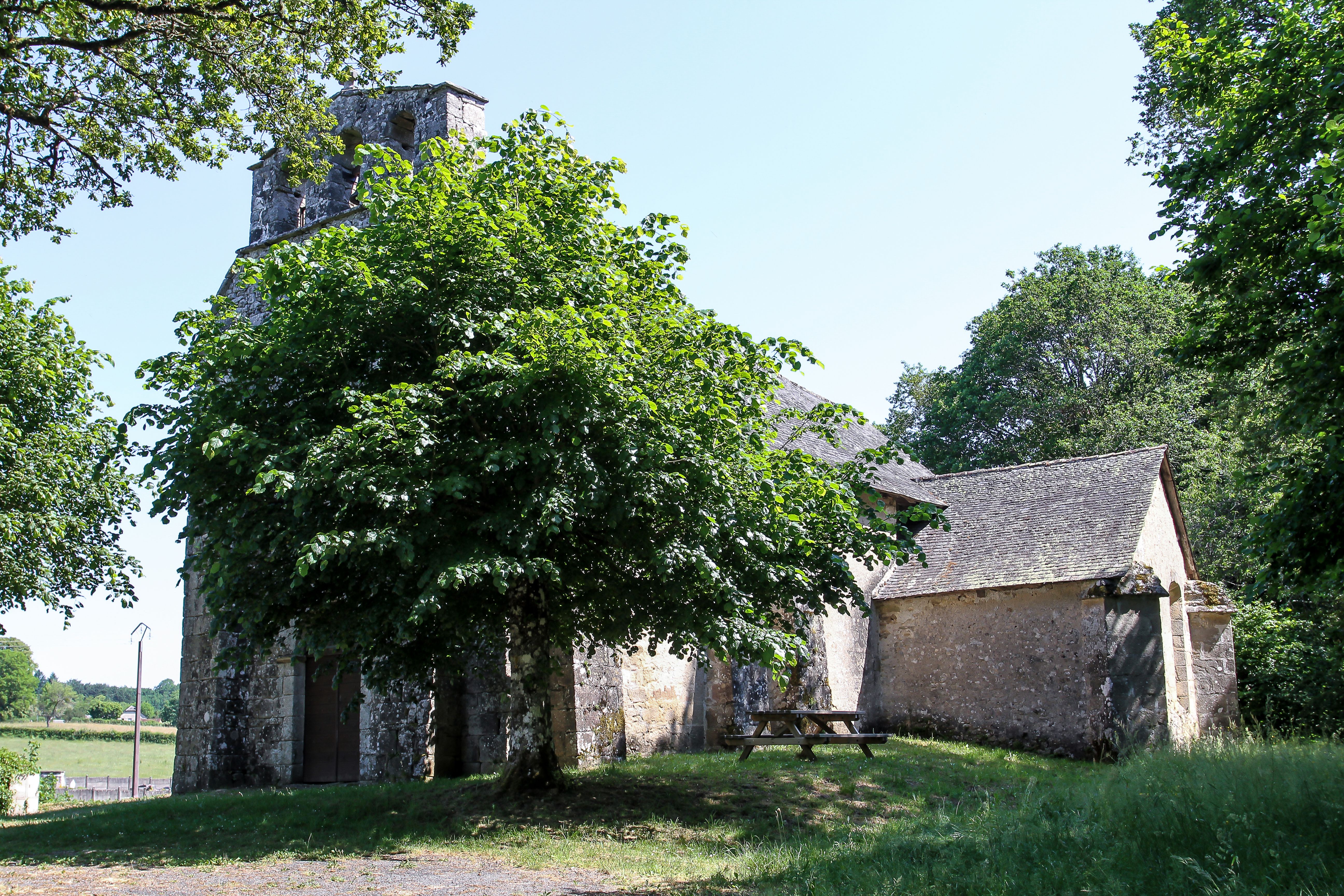 Le Balcon sur la Vézère, Peyrissac - photo 2