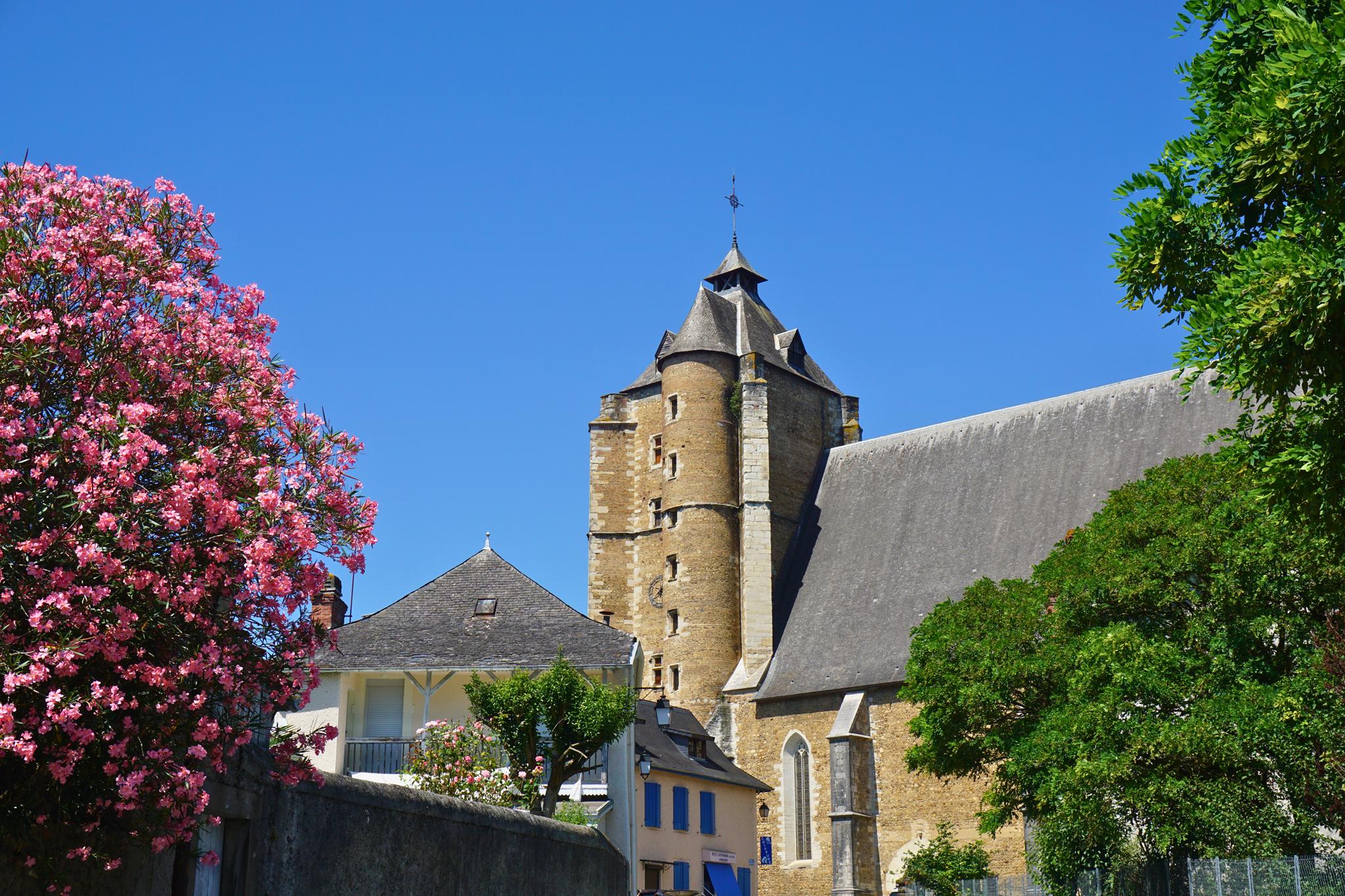 Eglise Saint Girons et sa charpente, Monein - photo 14