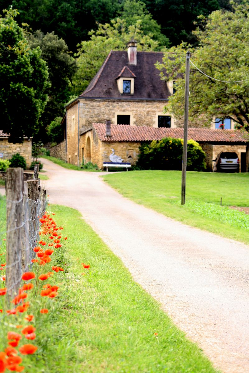 Elevage d'Oies du Bouyssou - photo 5