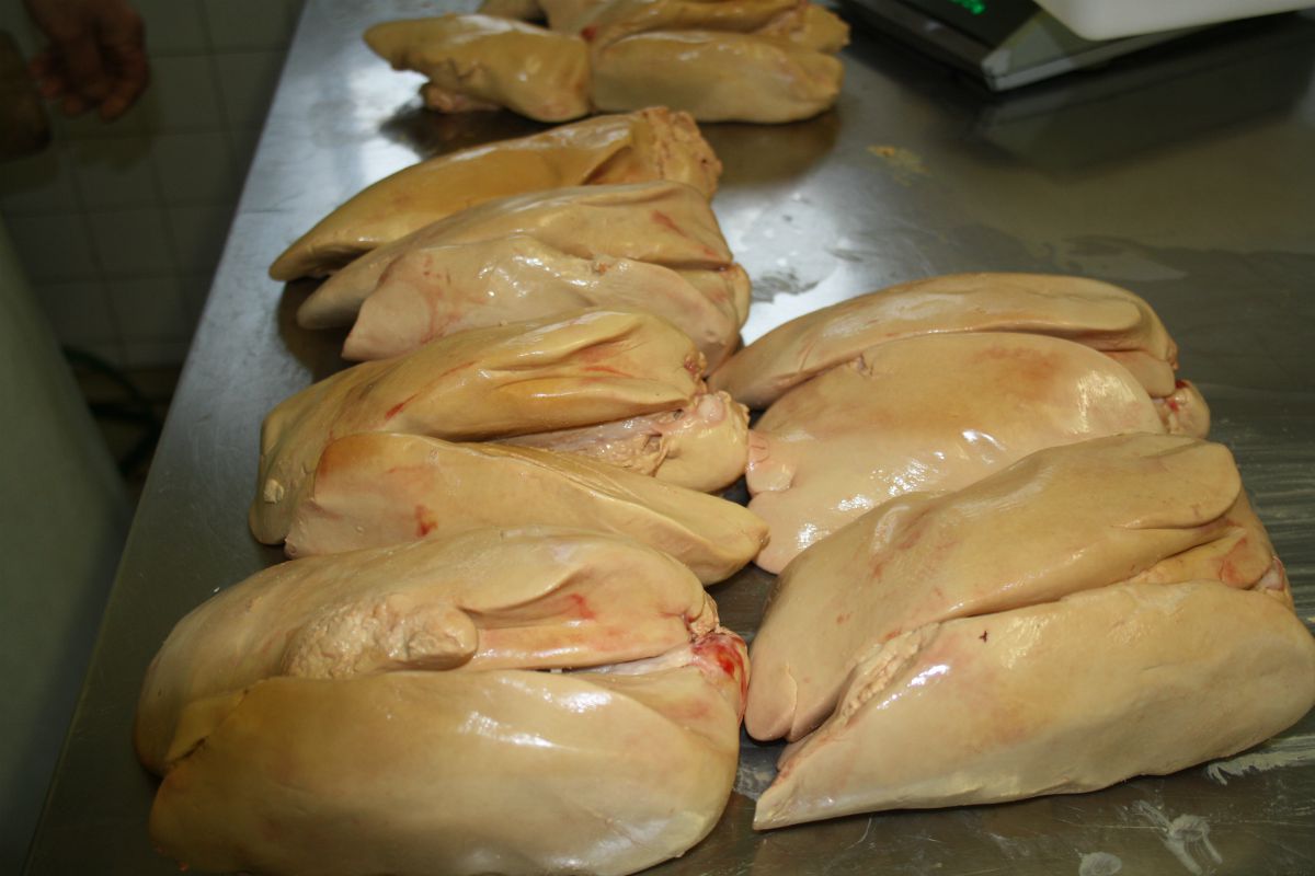 Elevage d'Oies du Bouyssou - photo 2