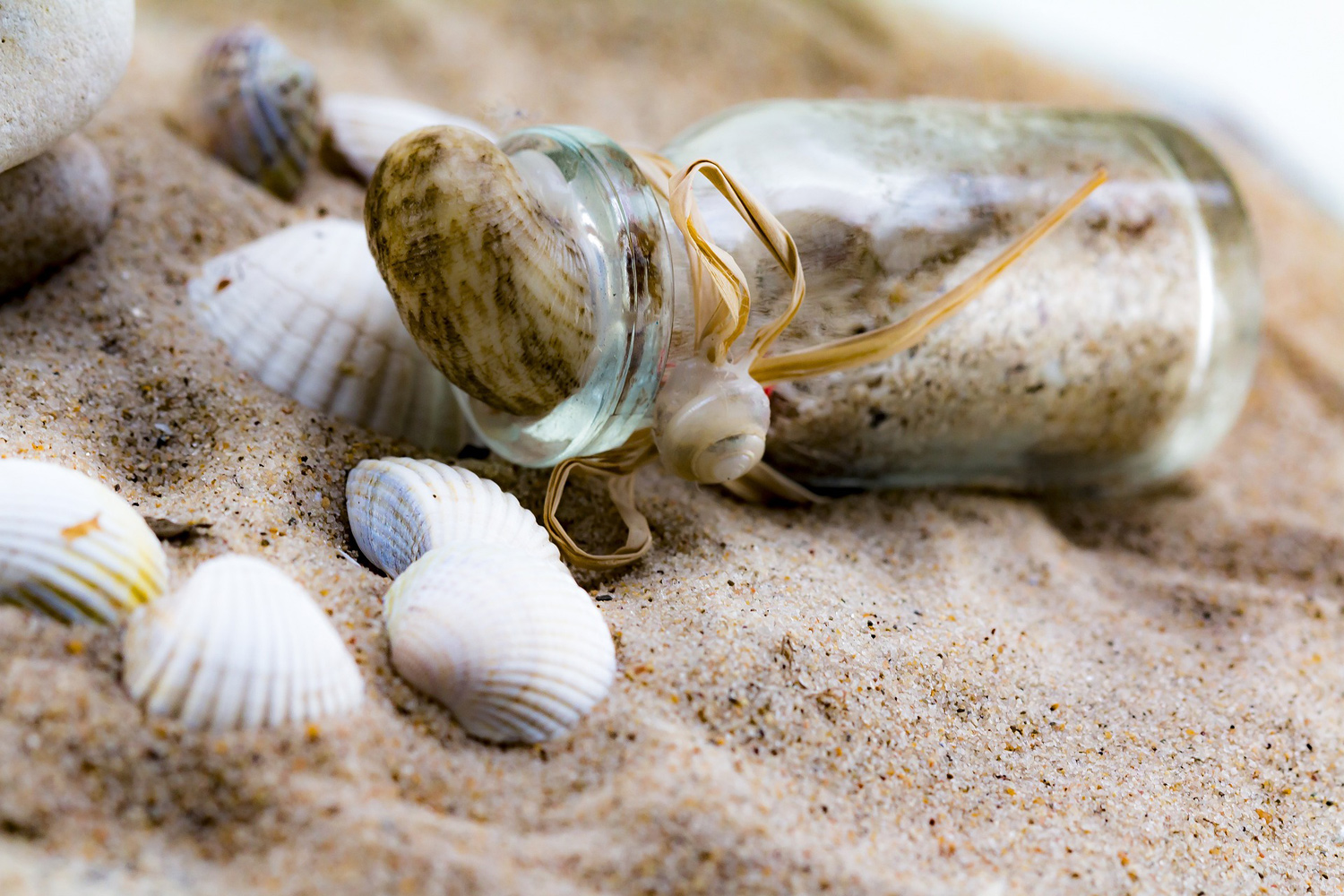 Embouteillage à la plage