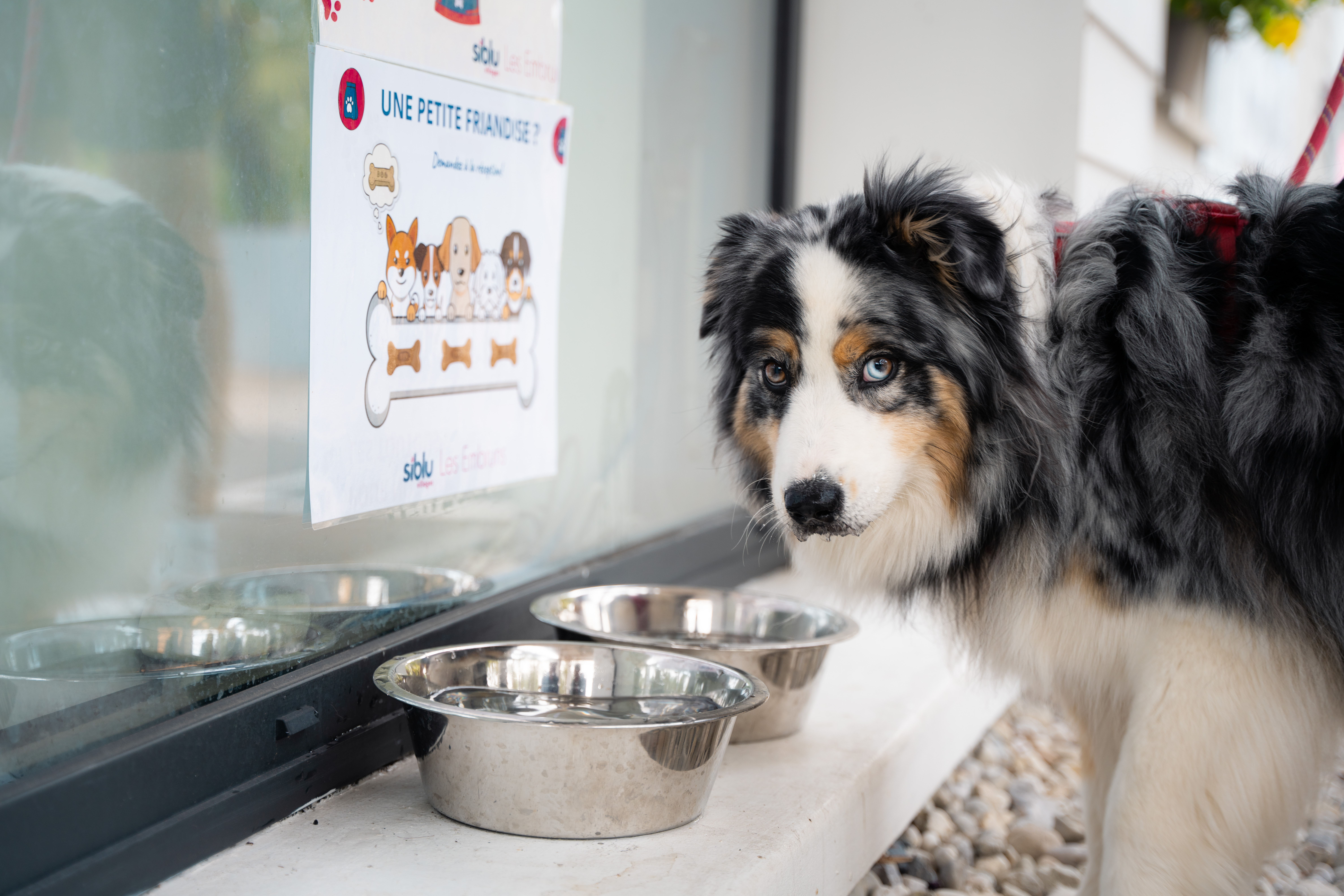 Camping Siblu Villages Les Embruns - photo 4