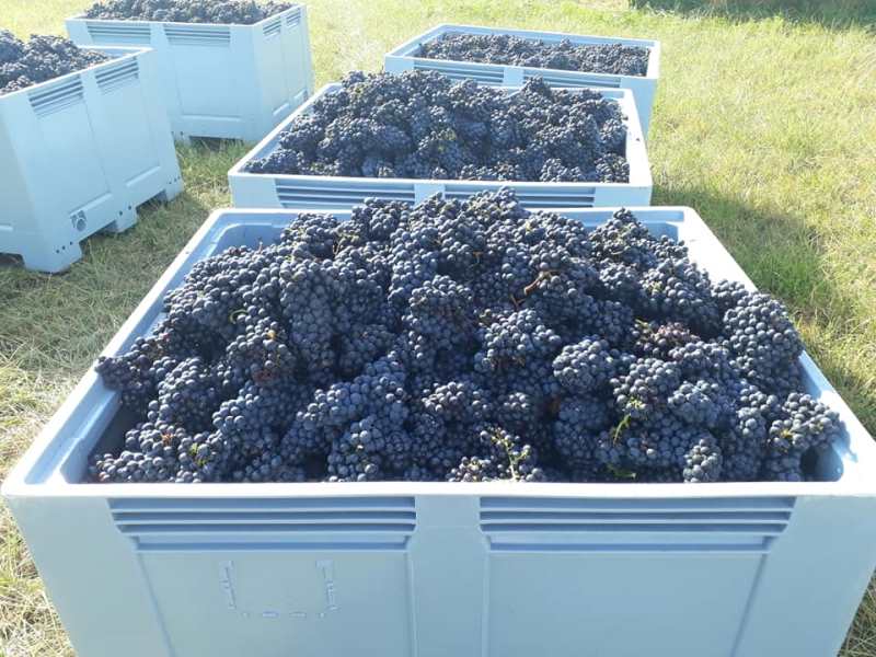 Domaine Emilien Jean