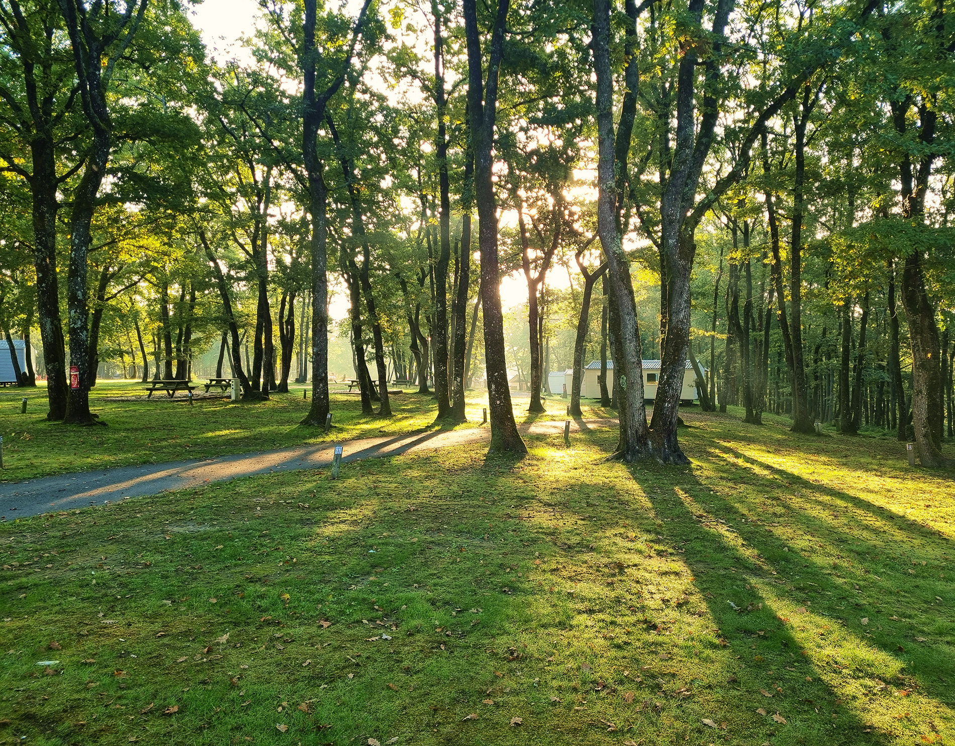 Camping Les Petites Minaudières, Senillé-Saint-Sauveur - photo 8
