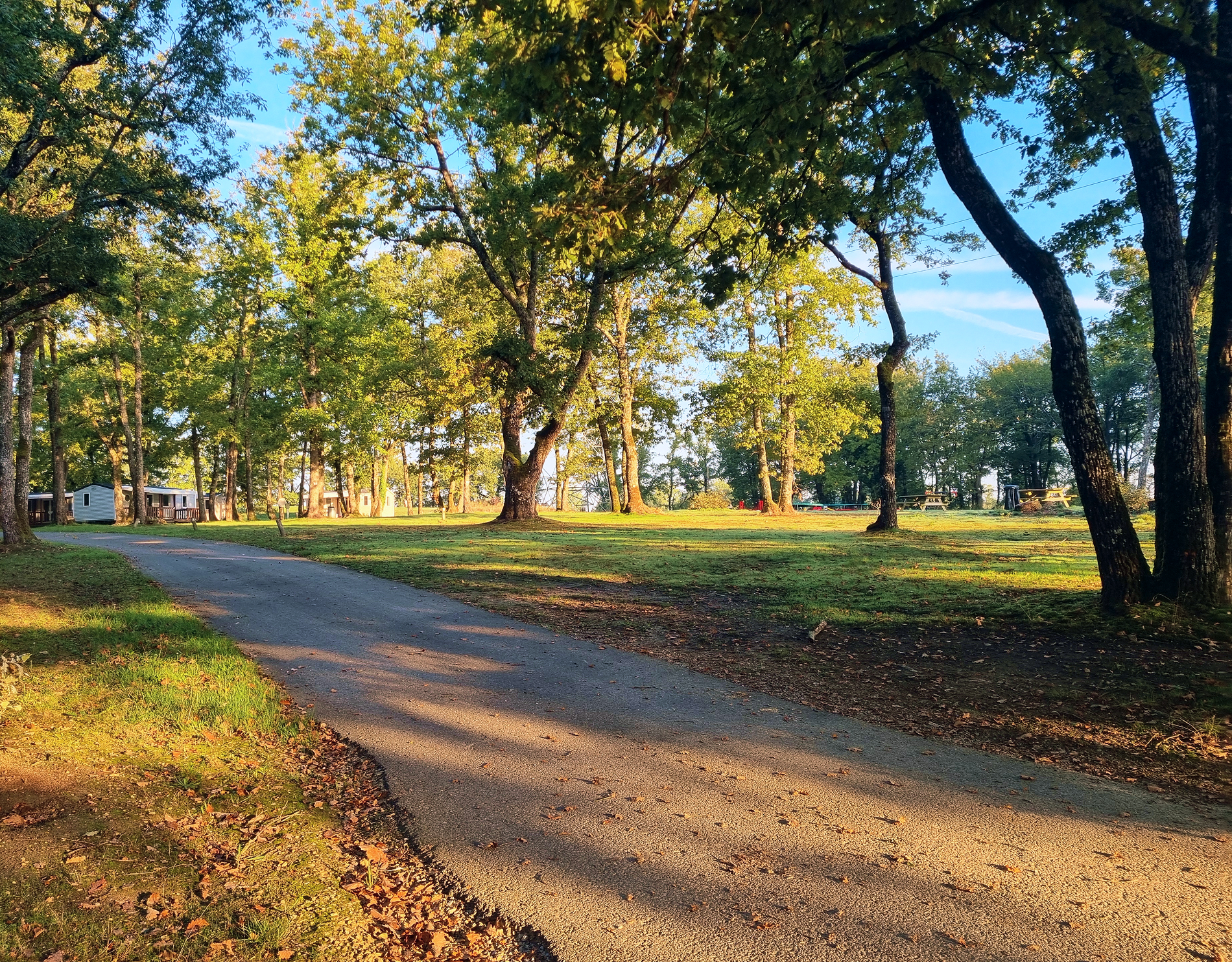 Camping Les Petites Minaudières, Senillé-Saint-Sauveur - photo 29
