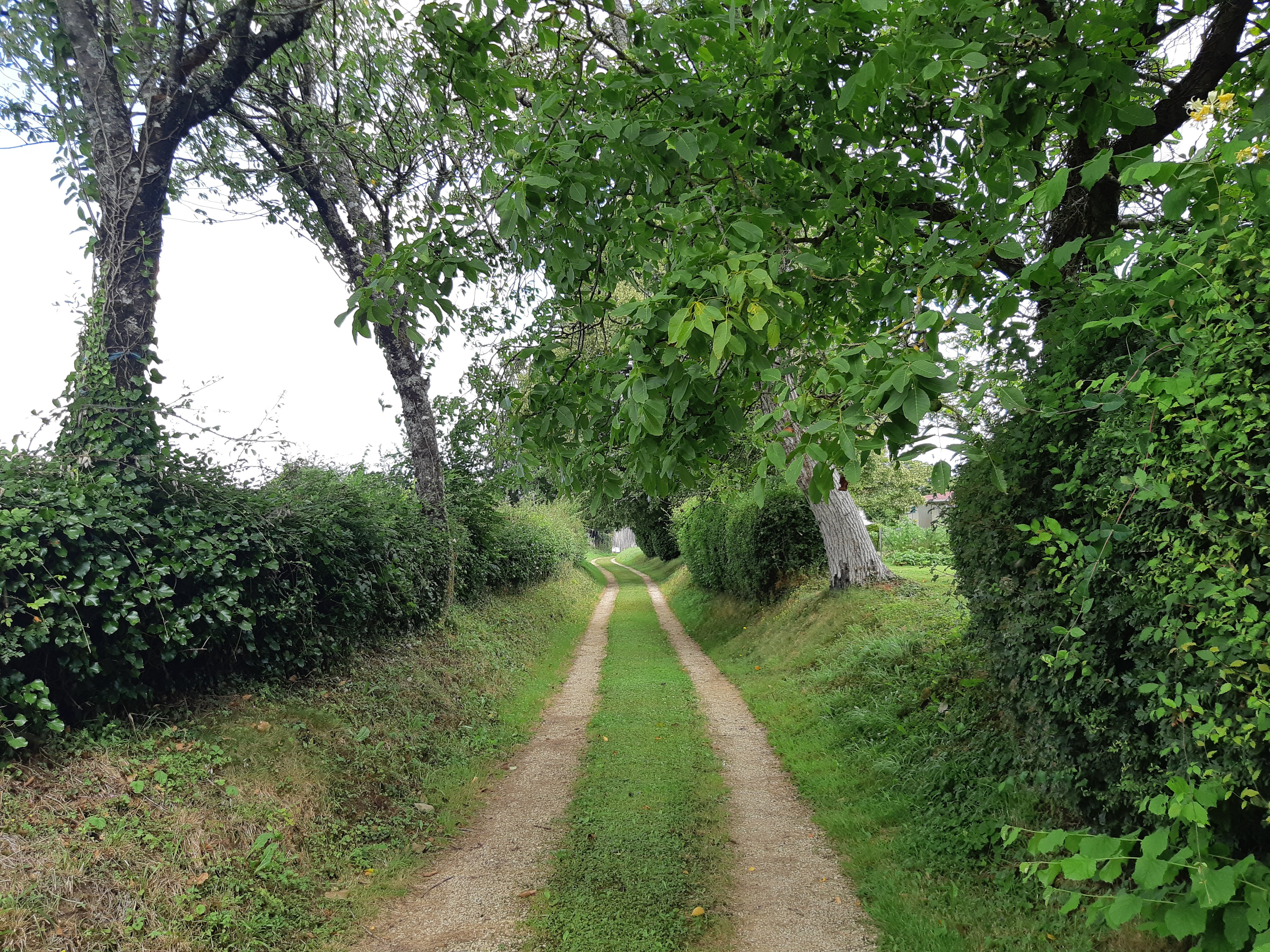 Vie de village et de quartier - Chef-Boutonne