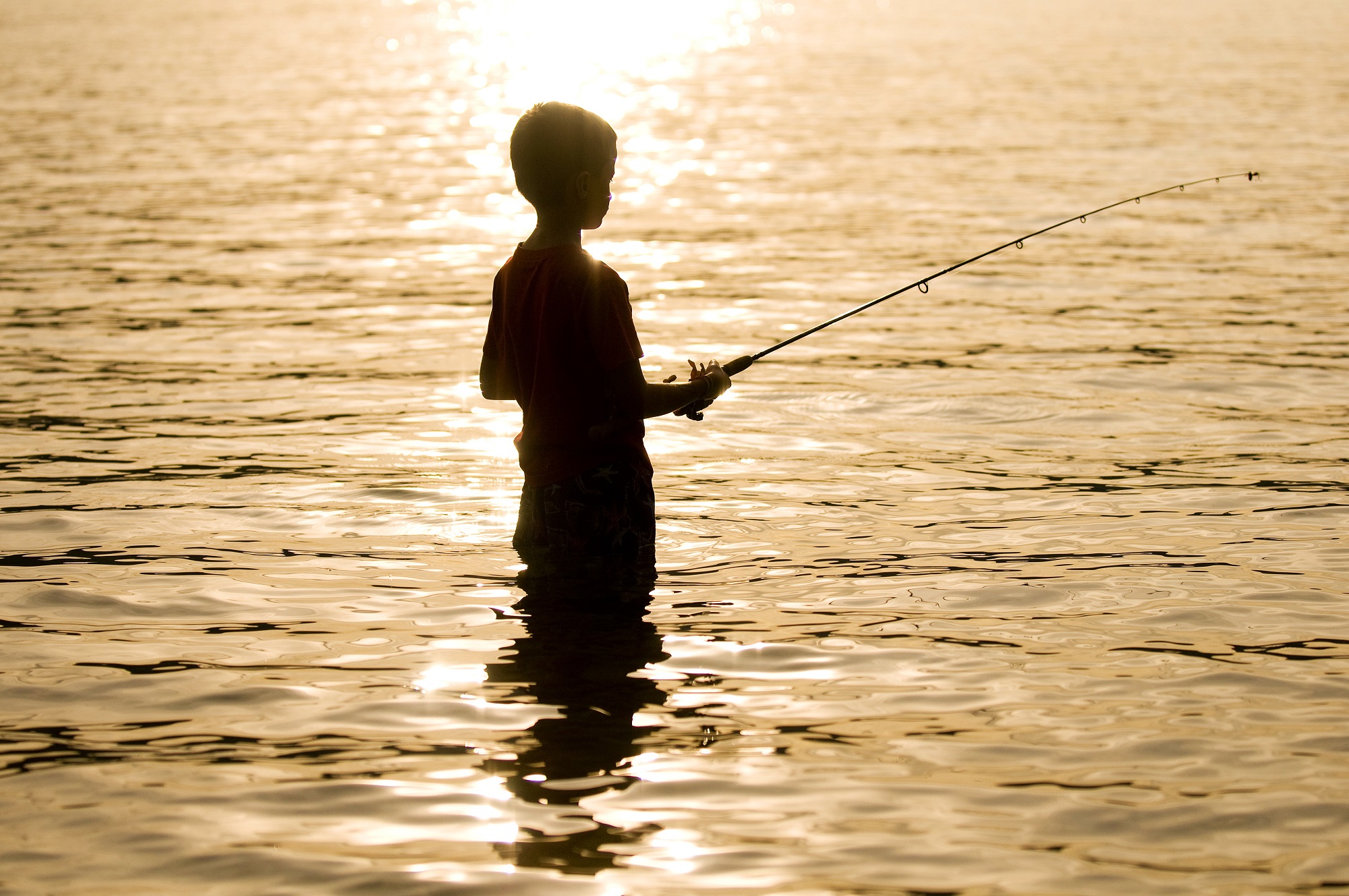 Gîte André Crochepierre