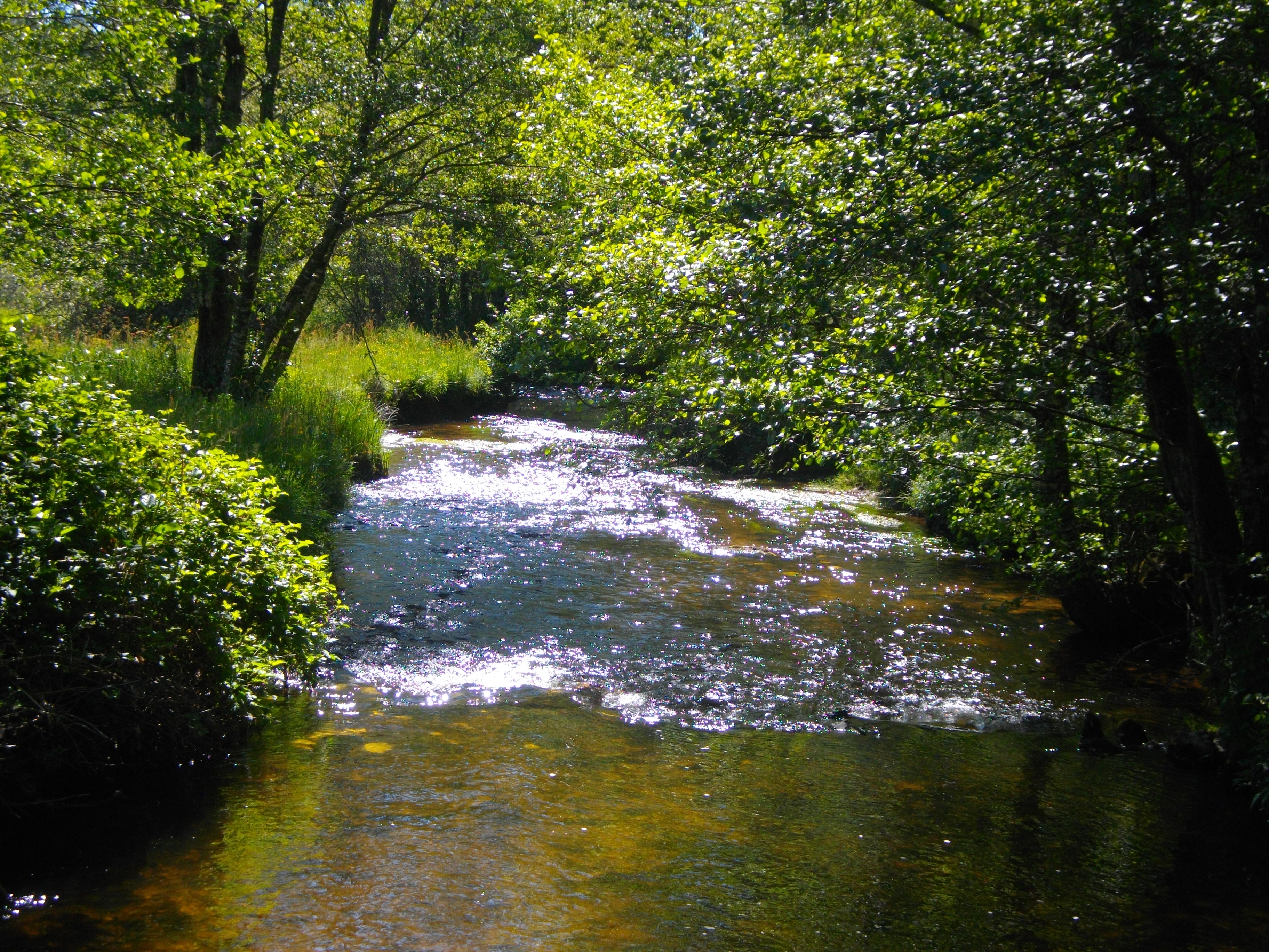 Sur les pas du facteur Gorsse - 13 km, Sornac - photo 3