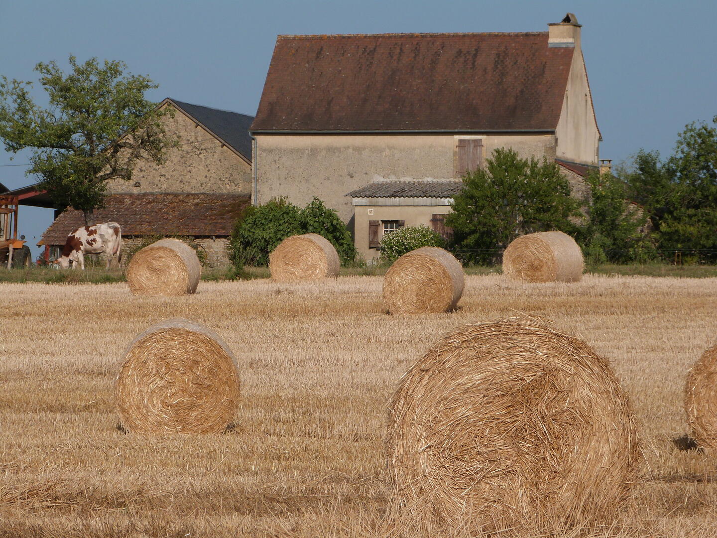 Boucle du Moulin à Vent n° 2 / Plazac