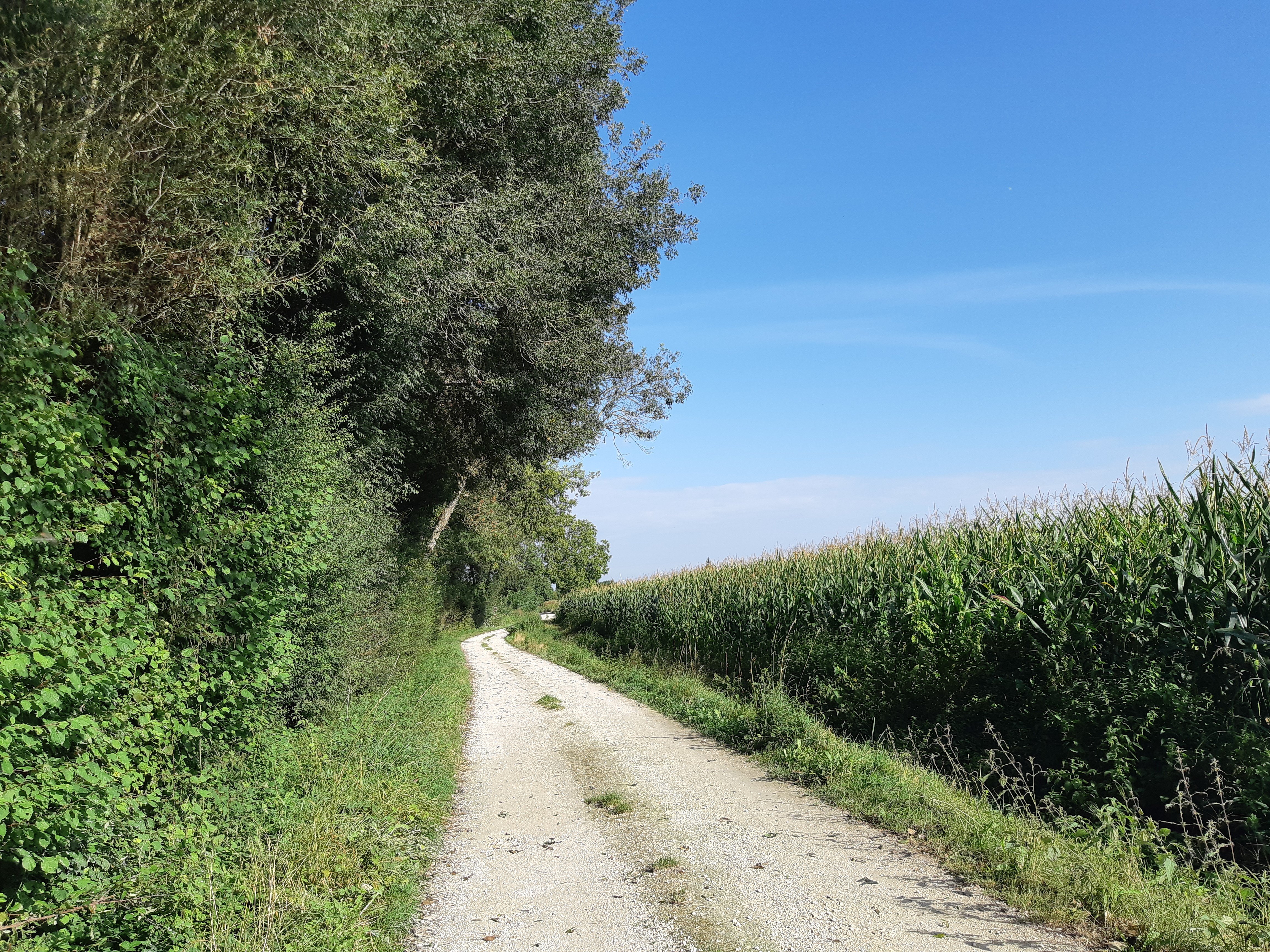 Entre fontaines et rivières - Fontenille Saint-Martin-d'Entraigues
