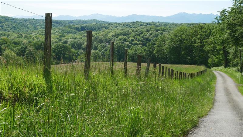 Route N°25 - De la vallée de Josbaig à Barcus