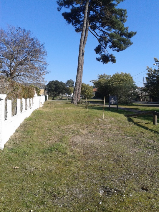 Kammerer Corinne - Maison, Mimizan - photo 11