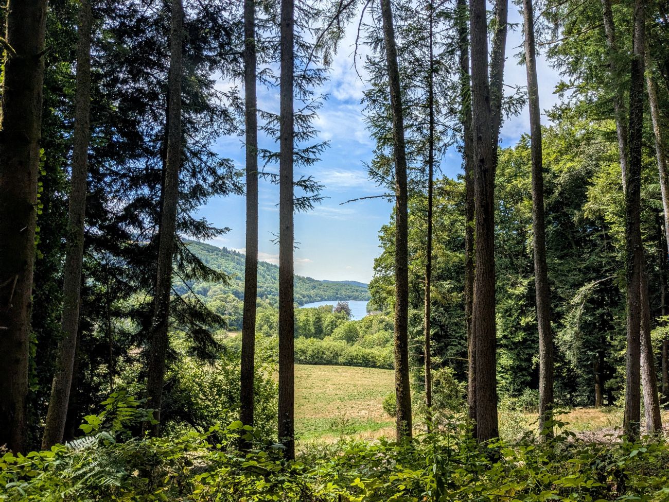 Entre lac et étang