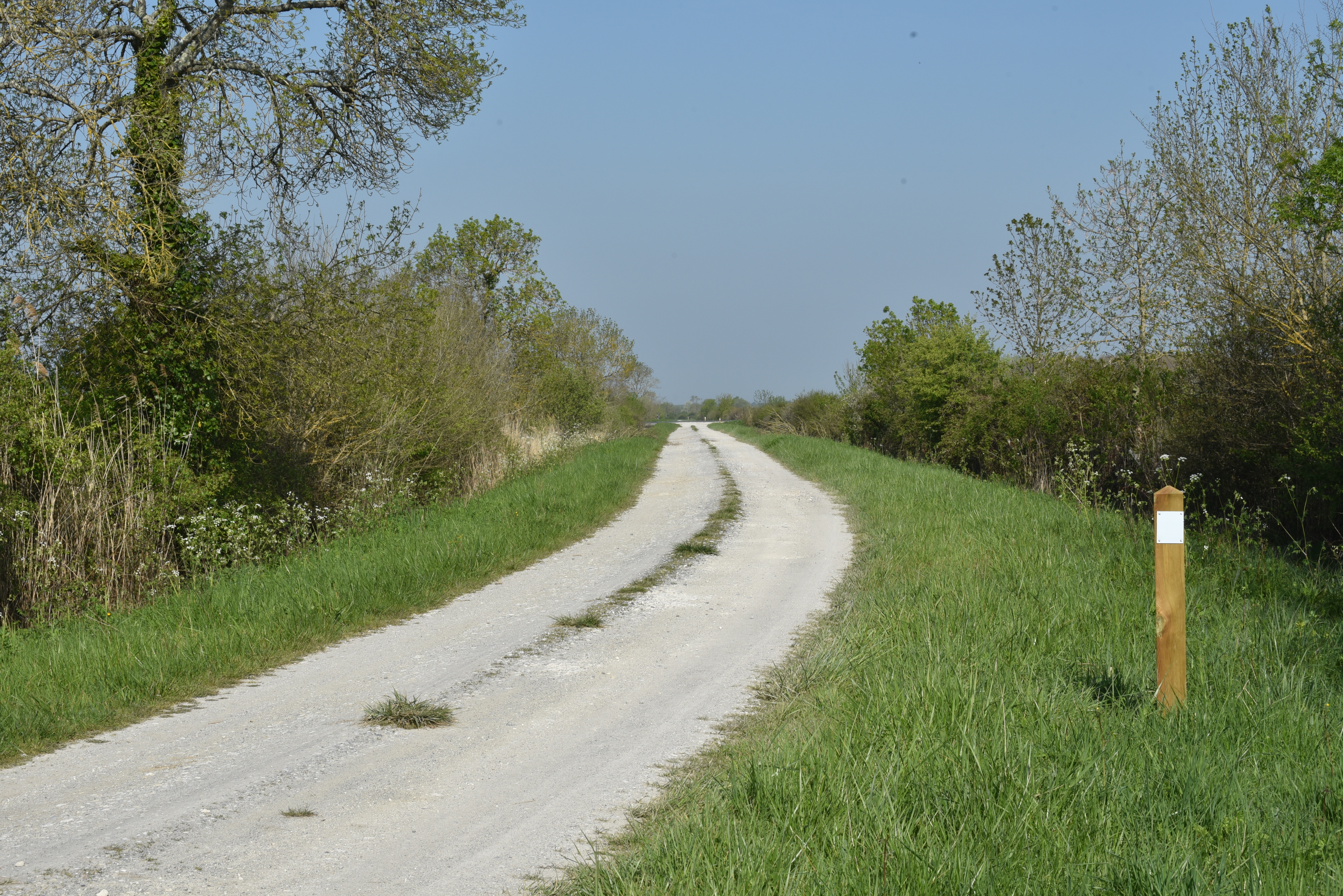 Boucle entre vignes et marais, Queyrac - photo 9