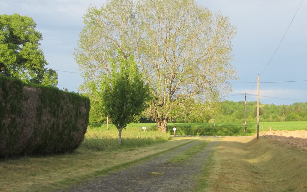 Le Logis des Tilleuls, Saint-Mathieu - photo 10